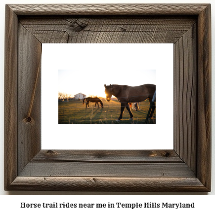 horse trail rides near me in Temple Hills, Maryland